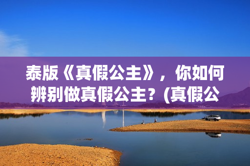 泰版《真假公主》，你如何辨别做真假公主？(真假公主泰语中字在线播放)