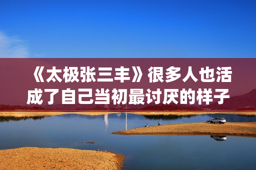 《太极张三丰》很多人也活成了自己当初最讨厌的样子(太极张三丰电影完整版免费)