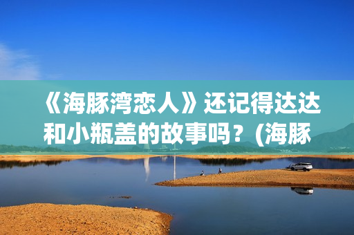 《海豚湾恋人》还记得达达和小瓶盖的故事吗？(海豚湾恋人剧情详细介绍)