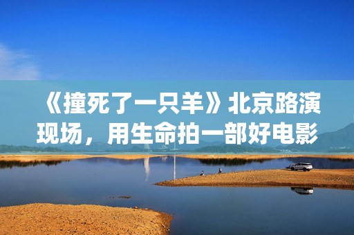 《撞死了一只羊》北京路演现场，用生命拍一部好电影(撞死了一只羊小说在线阅读)
