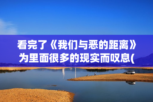 看完了《我们与恶的距离》为里面很多的现实而叹息(我们与我们之间)