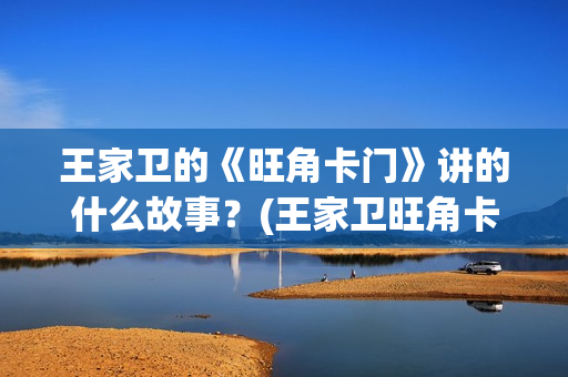 王家卫的《旺角卡门》讲的什么故事？(王家卫旺角卡门)