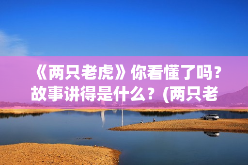《两只老虎》你看懂了吗？故事讲得是什么？(两只老虎mtv)