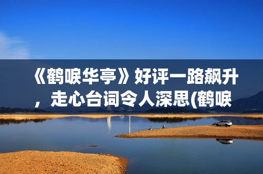 《鹤唳华亭》好评一路飙升，走心台词令人深思(鹤唳华亭太好看了)