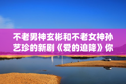不老男神玄彬和不老女神孙艺珍的新剧《爱的迫降》你追剧了吗？(不老男神多少岁)