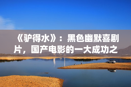《驴得水》：黑色幽默喜剧片，国产电影的一大成功之作！(驴得水到底讲的是什么)