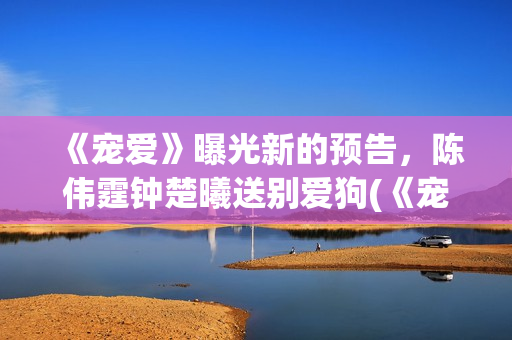 《宠爱》曝光新的预告，陈伟霆钟楚曦送别爱狗(《宠爱》主演)