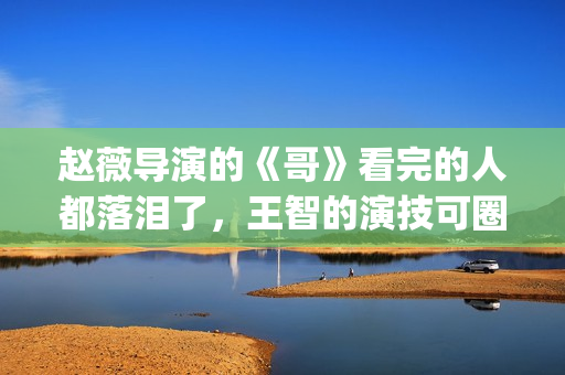 赵薇导演的《哥》看完的人都落泪了，王智的演技可圈可点！(赵薇终极作品《哥》完整版)