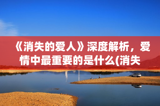 《消失的爱人》深度解析，爱情中最重要的是什么(消失的爱人截取的一段感情)