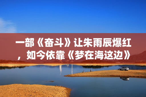 一部《奋斗》让朱雨辰爆红，如今依靠《梦在海这边》再次爆红！(奋斗 原著)
