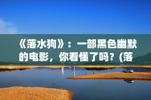 《落水狗》：一部黑色幽默的电影，你看懂了吗？(落水狗完整版)