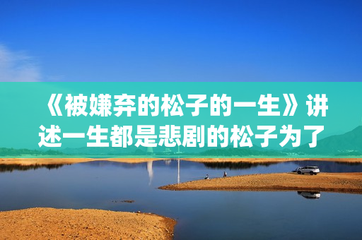 《被嫌弃的松子的一生》讲述一生都是悲剧的松子为了得到爱，一生都是取悦别人(被嫌弃的松子的一生经典台词)