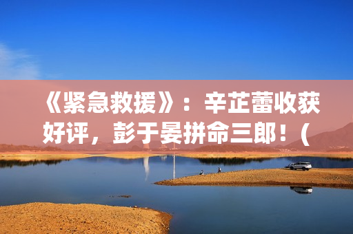 《紧急救援》：辛芷蕾收获好评，彭于晏拼命三郎！(紧急救援第九季)