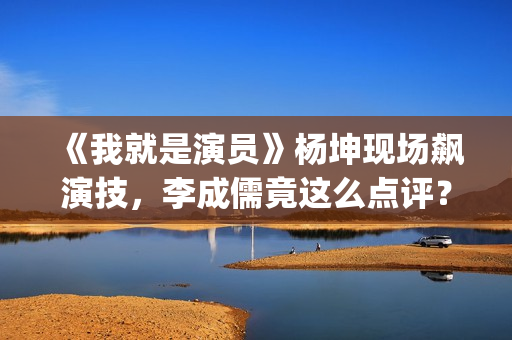 《我就是演员》杨坤现场飙演技，李成儒竟这么点评？(我就是演员叶祖新第几期)