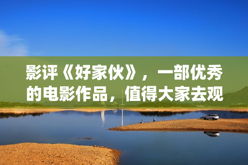影评《好家伙》，一部优秀的电影作品，值得大家去观看！(电影《好家伙》)