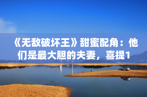 《无敌破坏王》甜蜜配角：他们是最大胆的夫妻，喜提15位家庭成员(《无敌破坏王》2)