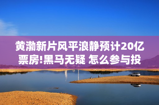 黄渤新片风平浪静预计20亿票房!黑马无疑 怎么参与投资(风平浪静黄渤出品方)