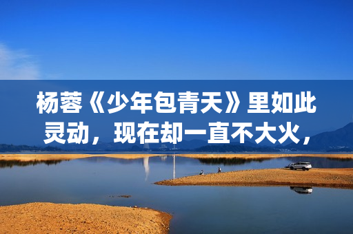 杨蓉《少年包青天》里如此灵动，现在却一直不大火，原因在这(歌曲少年包青天)