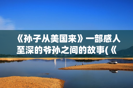《孙子从美国来》一部感人至深的爷孙之间的故事(《孙子从美国来》免费观看)