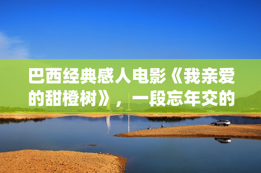巴西经典感人电影《我亲爱的甜橙树》，一段忘年交的真挚故事(巴西电影经典)