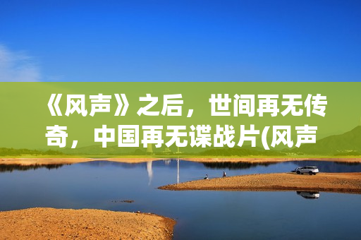 《风声》之后，世间再无传奇，中国再无谍战片(风声结束了吗)