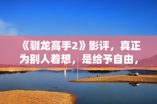 《驯龙高手2》影评，真正为别人着想，是给予自由，这才是真的爱(驯龙高手2免费观看在线播放)