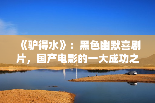 《驴得水》：黑色幽默喜剧片，国产电影的一大成功之作！(驴得水是真实的故事吗)