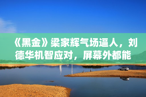 《黑金》梁家辉气场逼人，刘德华机智应对，屏幕外都能感觉到寒气(《黑金》梁家辉演员表)