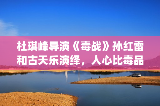 杜琪峰导演《毒战》孙红雷和古天乐演绎，人心比毒品更可怕(电影杜琪峰)