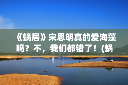 《蜗居》宋思明真的爱海藻吗？不，我们都错了！(蜗居宋思明海藻第一次在一起第几集)