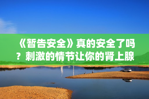 《暂告安全》真的安全了吗？刺激的情节让你的肾上腺素狂飙！(电影名《暂告安全》)