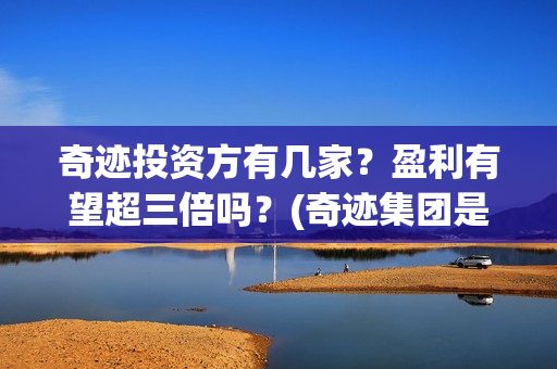 奇迹投资方有几家？盈利有望超三倍吗？(奇迹集团是做什么的)
