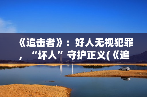 《追击者》：好人无视犯罪，“坏人”守护正义(《追击者》解析)