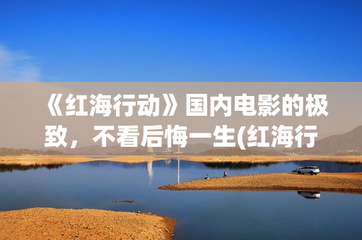 《红海行动》国内电影的极致，不看后悔一生(红海行动大片)