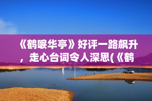 《鹤唳华亭》好评一路飙升，走心台词令人深思(《鹤唳华亭》好看吗)