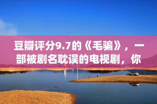 豆瓣评分9.7的《毛骗》，一部被剧名耽误的电视剧，你看过没？(豆瓣评分9.5)