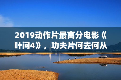 2019动作片最高分电影《叶问4》，功夫片何去何从？(2019年十大动作片)
