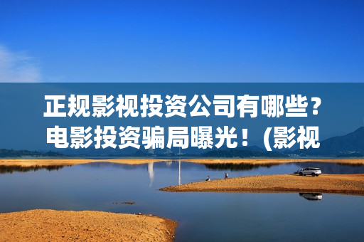 正规影视投资公司有哪些？电影投资骗局曝光！(影视投资公司是干什么的)