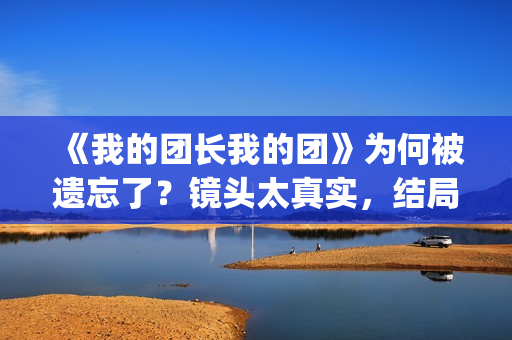 《我的团长我的团》为何被遗忘了？镜头太真实，结局太虐心(我的团长我的团演员表)