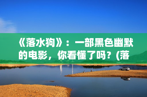 《落水狗》：一部黑色幽默的电影，你看懂了吗？(落水狗终极解读)