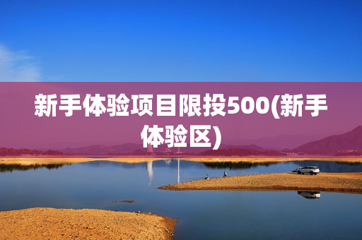 新手体验项目限投500(新手体验区)