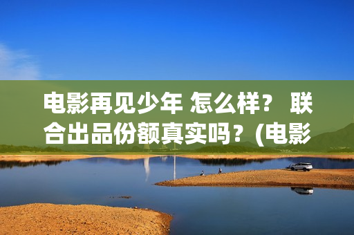 电影再见少年 怎么样？ 联合出品份额真实吗？(电影再见少年结局是什么)