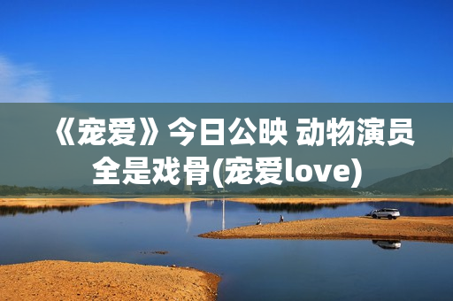 《宠爱》今日公映 动物演员全是戏骨(宠爱love)
