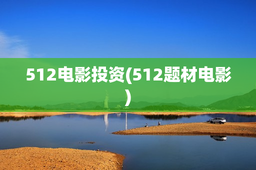 512电影投资(512题材电影)