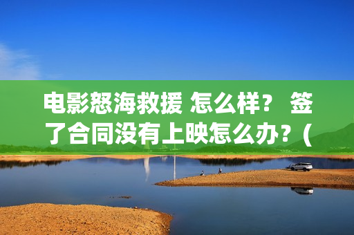电影怒海救援 怎么样？ 签了合同没有上映怎么办？(电影怒海救援免费播放)