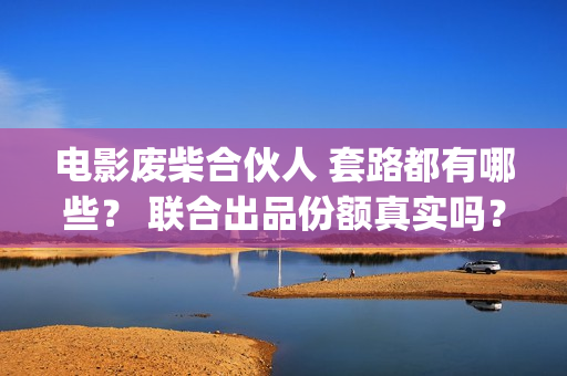 电影废柴合伙人 套路都有哪些？ 联合出品份额真实吗？(废柴兄弟众筹吃火锅是哪一集)