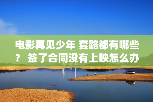 电影再见少年 套路都有哪些？ 签了合同没有上映怎么办？(电影再见少年剧情介绍)