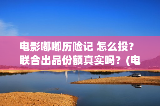 电影嘟嘟历险记 怎么投？ 联合出品份额真实吗？(电影嘟嘟历险记在线观看)