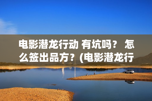电影潜龙行动 有坑吗？ 怎么签出品方？(电影潜龙行动)