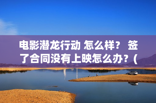 电影潜龙行动 怎么样？ 签了合同没有上映怎么办？(电影潜龙行动)
